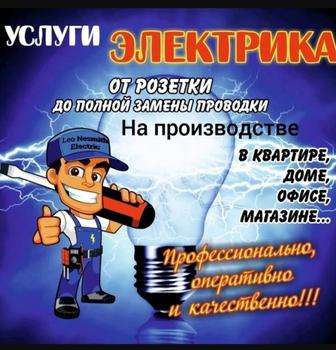 Электрик қой