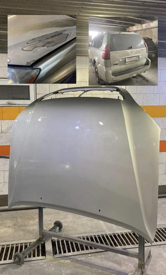 Костоправ Маляр