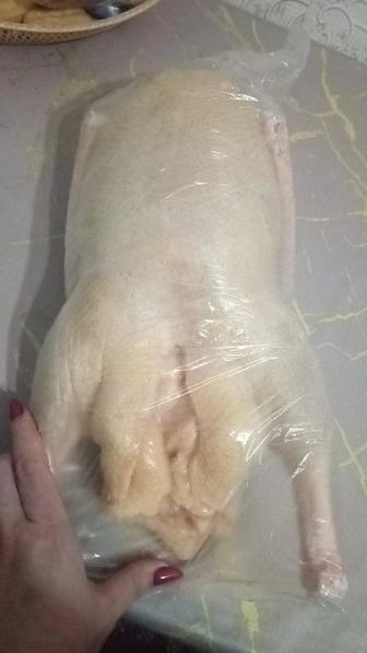 Продам мясо гуся