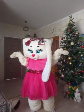 Поздравление от зайки