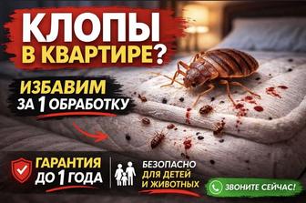 Дезинфекция от клопов и тараканов с гарантией