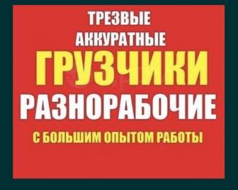 Услуги грузчики и разный рабочый