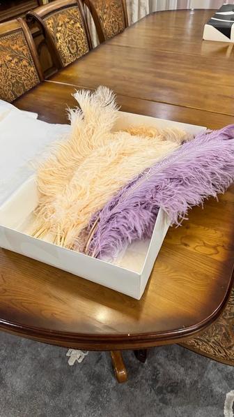 Страусиные перья натуральные