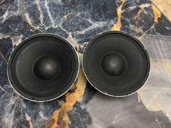 Эстрадные Динамики 12 дюймов