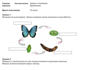 Английский язык