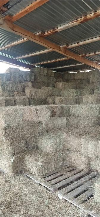 Продам разнотравье в тюках