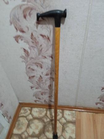 Трость