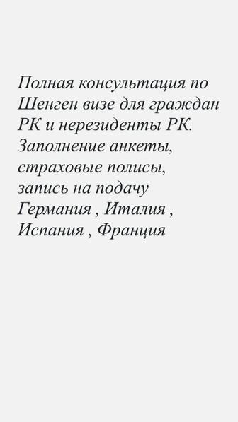 Консультация по визам