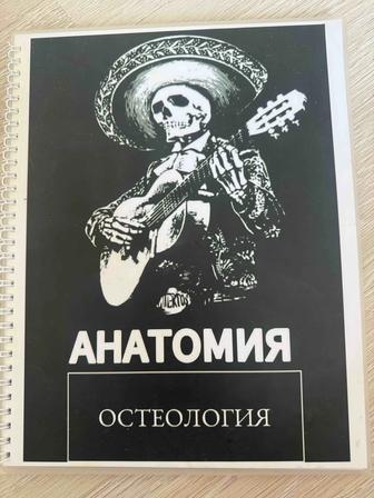 Продаю книгу по остеологии анатомия