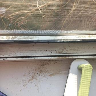 КЛИНИНГ, БЕЗ ПОСРЕДНИКОВ.