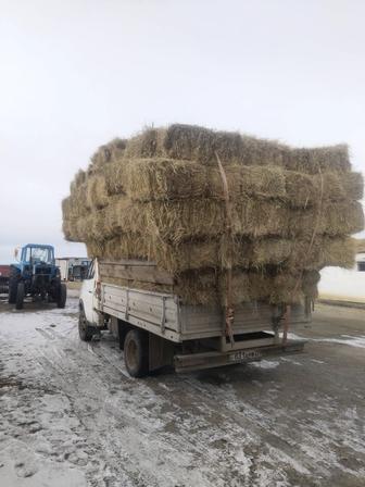 Сено тюковой