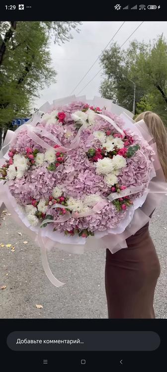 Здравствуйте, я ваш персональный флорист