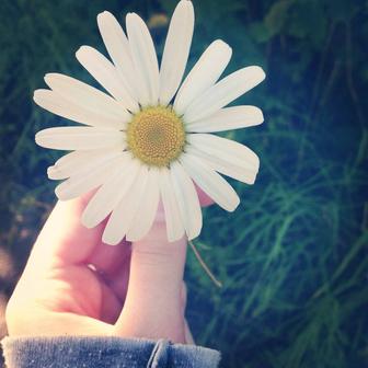 Уборка жилых домов