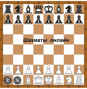 Шахматы