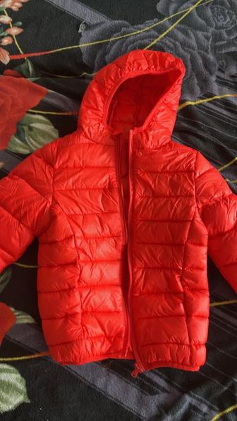 Куртка весна осень