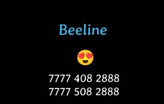 Парные номера Билайн