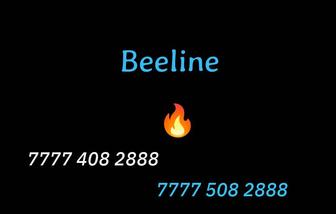 Парные номера Билайн