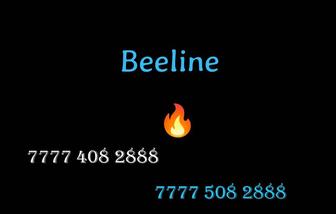 Парные номера Билайн