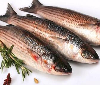 Рыба оптом кефаль заменитель судака без косточек