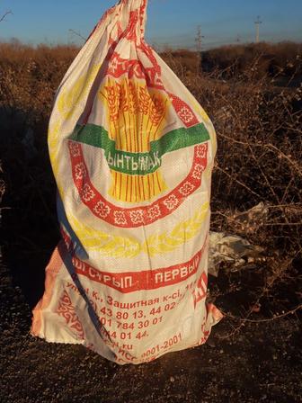 Қап таза ұндыкі