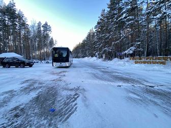 Аренда автобуса с водителем.