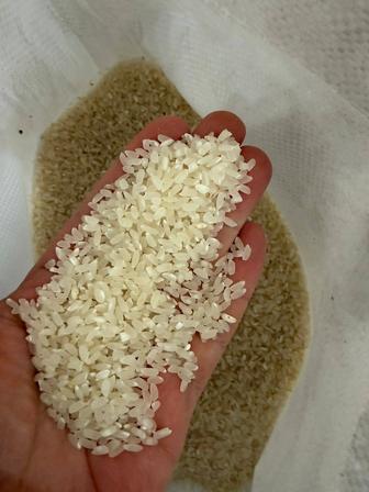 Продам Рис Лидер