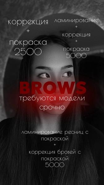 Требуются модели