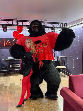 Горилла Кин конг /3 метра/ Поздравления/День 
Рождения/Выписки/Аниматор