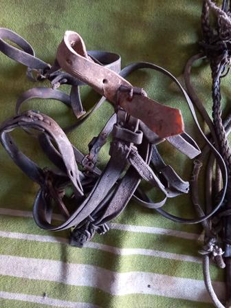 Конские сбруии