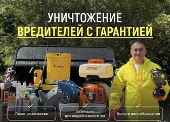 Дезинфекция Кандала Клопы Тараканы Уничтожение с Гарантией