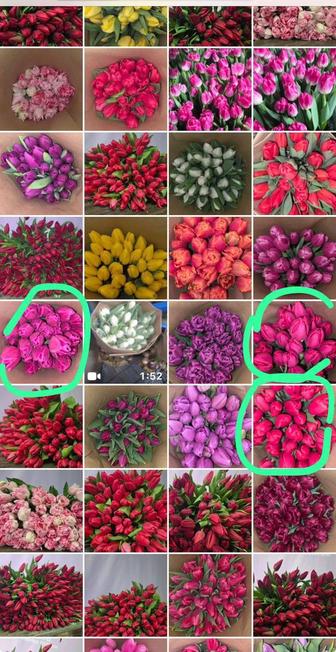 Тюльпаны оптом