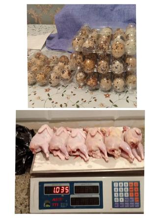 Перепелиные мясо и яйца