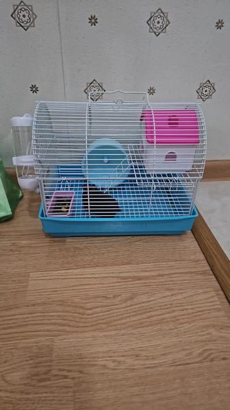 Продам хомяка