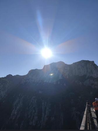 Психолог, метафорические карты