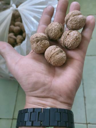 Горный, вкусный, экологически чистый грецкий орех
