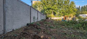 Выкопаем корни, деревья мини экскаватором