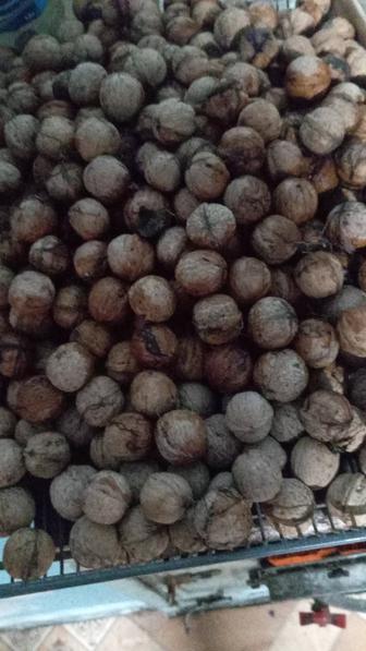 Продам грецкие орехи 1000т