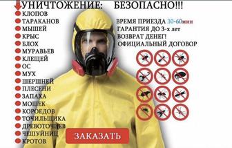 Дезинфекция