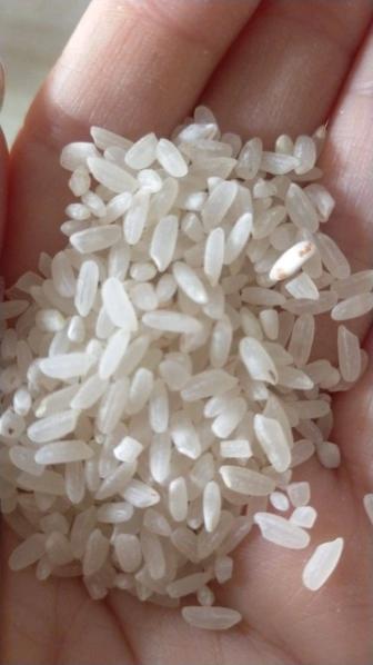 Продам рис Баканас