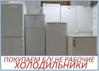 Скупка Холодильников Морозильников Алматы Самовывоз