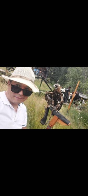 Ищу работу водителя