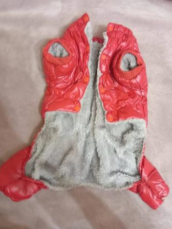 Одежда для собак. комбез