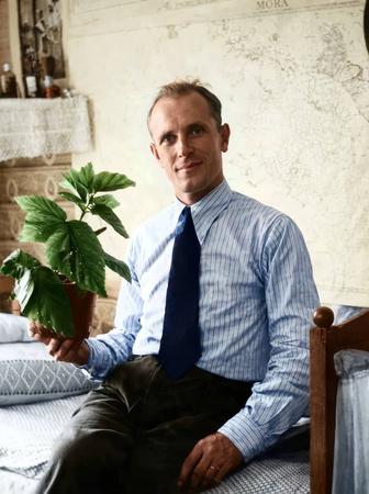 Оживление фотографий/Ролики/Видео