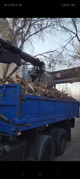 ДРОВА СРОЧНО!