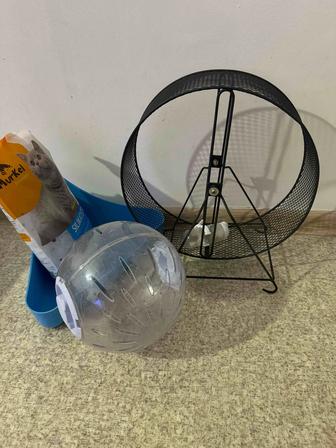 Вещи для крупных хомяков