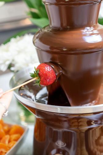 Шоколадный фонтан на выезд АСТАНА