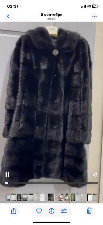 Шуба пашти нови