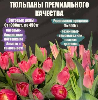 Тюльпаны оптом и в розницу