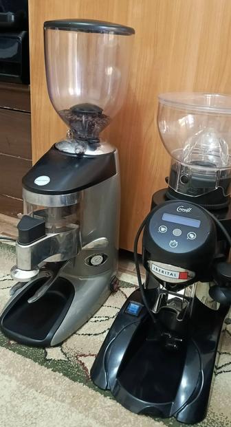 Профессиональная Кофемолка Wega