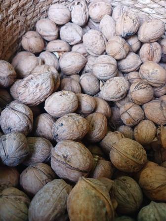 Домашние грецкие орехи свежий урожай, вкусные и целые